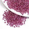 12/0 Glass Seed Beads X1-SEED-A015-2mm-2209-1