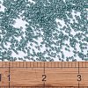 MIYUKI Delica Beads X-SEED-J020-DB2131-4