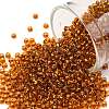 TOHO Round Seed Beads SEED-XTR11-2154S-1