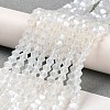 Imitation Jade Electroplate Glass Beads Strands LS-EGLA-F029-J4mm-A05-4
