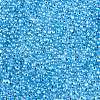 6/0 Baking Paint Transparent Fringe Glass Seed Beads SEED-N006-06L-3