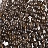 FGB Transparent Glass Seed Beads SEED-N013-01C-18-4