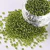 12/0 Glass Seed Beads SEED-A005-2mm-24-1