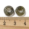 Natural Labradorite Beads G-Q173-03A-11-3