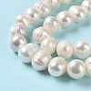 Natural Cultured Freshwater Pearl Beads Strands PEAR-E018-14-4