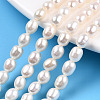 Natural Cultured Freshwater Pearl Beads Strands PEAR-N012-05O-1