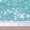 MIYUKI Round Rocailles Beads X-SEED-G007-RR0412L-2