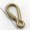 Brass Screw Carabiner Lock Charms KK-TAC0005-01G-1