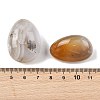 Natural Ocean Jasper Beads G-G348-01B-38-3