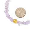 Natural Ametrine Chip Beaded Necklaces NJEW-JN05509-4