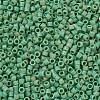 MIYUKI Delica Beads SEED-MY11-DB0877-3