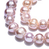 Natural Cultured Freshwater Pearl Beads Strands PEAR-N013-07M-5