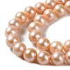 Natural Pearl Beads Strands PEAR-E018-24-3