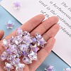 Transparent Acrylic Beads TACR-S152-02D-SS2114-5