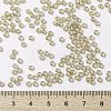 MIYUKI Round Rocailles Beads X-SEED-G008-RR2250-4
