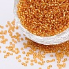 FGB 6/0 Grade A Round Glass Seed Beads SEED-Q007-4mm-F31-1