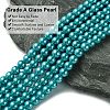 Eco-Friendly Dyed Glass Pearl Round Bead Strands HY-A008-6mm-RB073-3