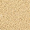MIYUKI Round Rocailles Beads X-SEED-G007-RR0493-2