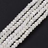 Half Plated Faceted Rondelle Electroplate Imitation Jade Glass Bead Strands X-EGLA-D020-3x2mm-05-2