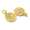 Rack Plating Brass Micro Pave Cubic Zirconia Charms KK-D036-22G-3