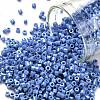 Cylinder Seed Beads SEED-H001-H14-1