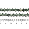 Natural Green Spot Jasper Beads Strands G-H087-C01-01-5