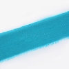 Polyester Ribbon OCOR-TAC0001-08C-2