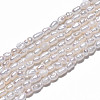 Natural Cultured Freshwater Pearl Beads Strands PEAR-N012-02H-4