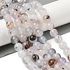 Natural Dendritic Agate Beads Strands G-A248-A07-04-1