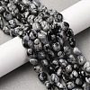 Natural Snowflake Obsidian Beads Strands G-K395-A04-02-1