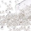 6/0 Glass Seed Beads X-SEED-A017-4mm-1109-1