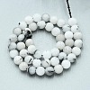 Natural Quartz Beads Strands G-N355-8mm-01-2