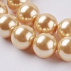 Eco-Friendly Dyed Glass Pearl Round Beads Strands HY-A002-10mm-RB112N-3