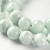 Glass Beads Strands G-S362-102D-3