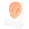 Soft Silicone Tongue Flexible Model Body Part Displays with Acrylic Stands ODIS-WH0002-23-1