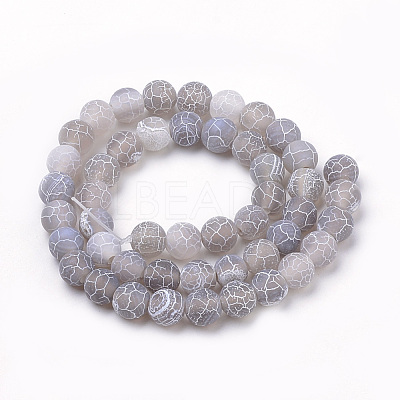 Natural Weathered Agate Beads Strands G-S259-05E-10mm-1