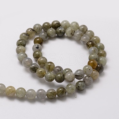 Natural Labradorite Round Beads Strands G-E329-8mm-48-1