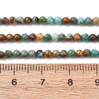 Natural HuBei Turquoise Beads Strands G-H358-A09-3mm-01-1