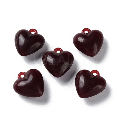 Opaque Acrylic Pendants MACR-F079-05E-1