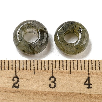 Natural Labradorite Beads G-Q173-03A-11-1
