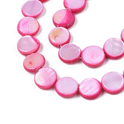 Freshwater Shell Beads Strands SHEL-T009-B16-03-1