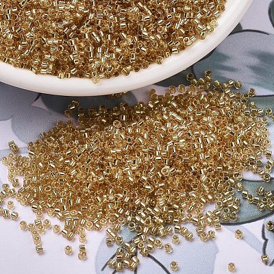 MIYUKI Delica Beads X-SEED-J020-DB2521-1