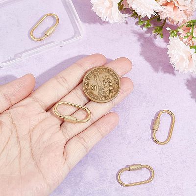 4Pcs 4 Style 304 Stainless Steel Screw Carabiner Lock Charms STAS-UN0029-89-1