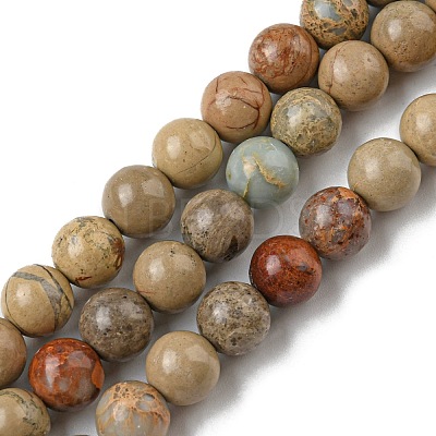 Natural Aqua Terra Jasper Beads Strands G-E444-14B-8mm-1