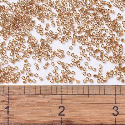 MIYUKI Delica Beads X-SEED-J020-DB1241-1