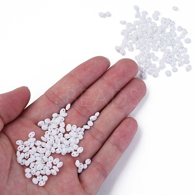 Opaque Luster Czech Glass Seed Beads SEED-N004-005-D02-1