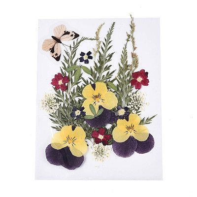 Pressed Dried Flowers DIY-YWC0001-96-1