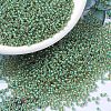 MIYUKI Round Rocailles Beads X-SEED-G007-RR0374-1