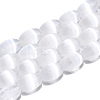 Dyed Natural Selenite Beads Strands G-T138-233A-1