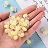 Transparent Acrylic Beads TACR-S152-12C-SS2105-5